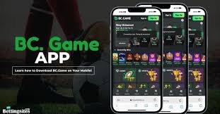 Comprehensive Overview of BC.Game Casino -593921745
