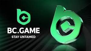 Comprehensive Overview of BC.Game Casino -593921745